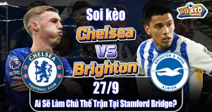chelsea vs brighton